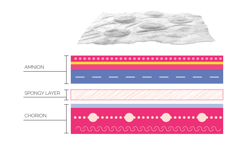 dermabind-description